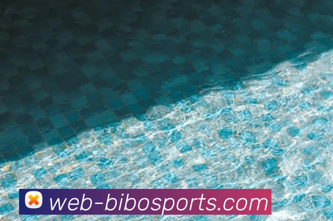 App Interface Preview